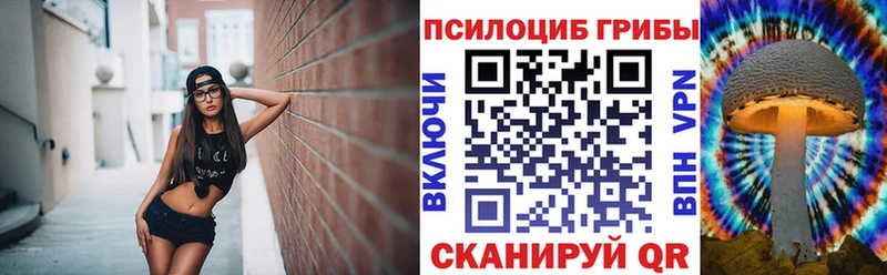 купить   Лахденпохья  Галлюциногенные грибы Psilocybine cubensis 