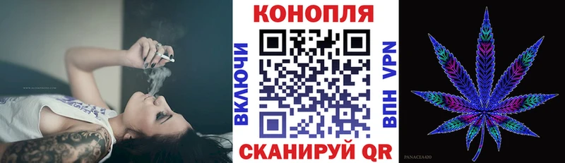 Конопля ГИДРОПОН  купить наркотики цена  Лахденпохья 